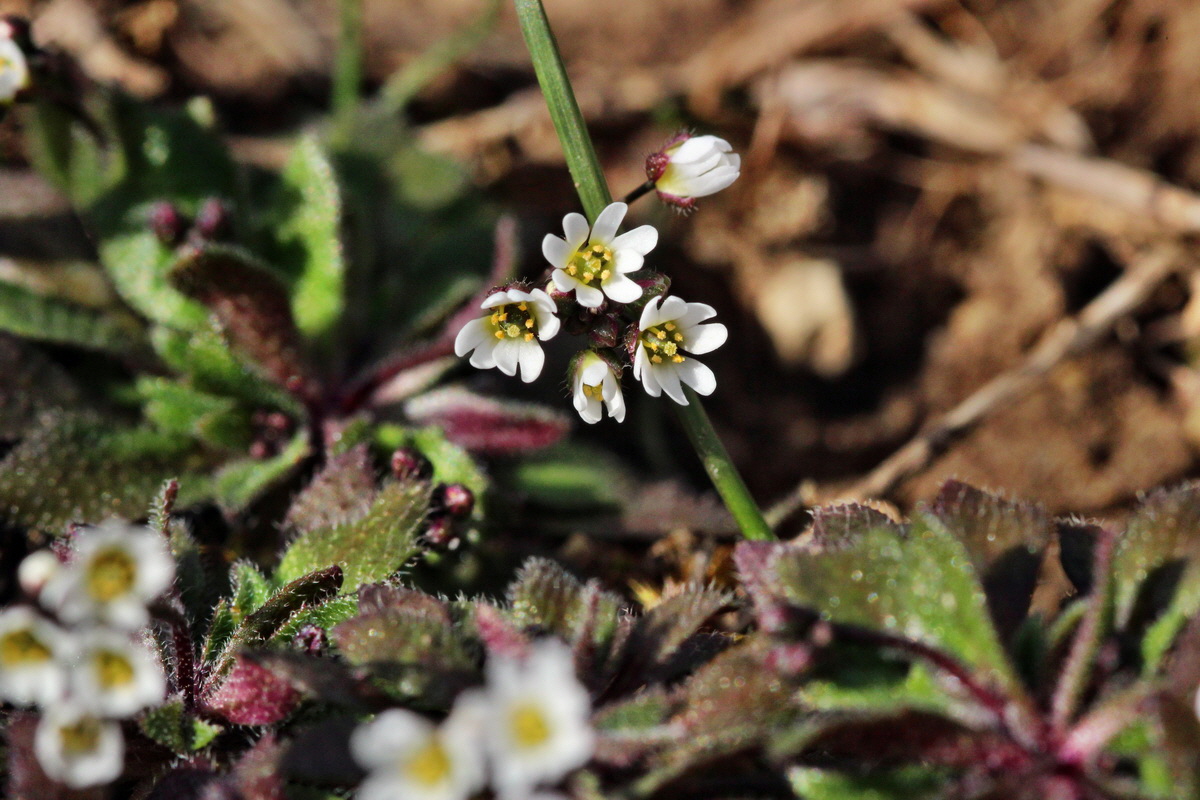 2014_02_22_00035402p_Bildgr��e �ndern