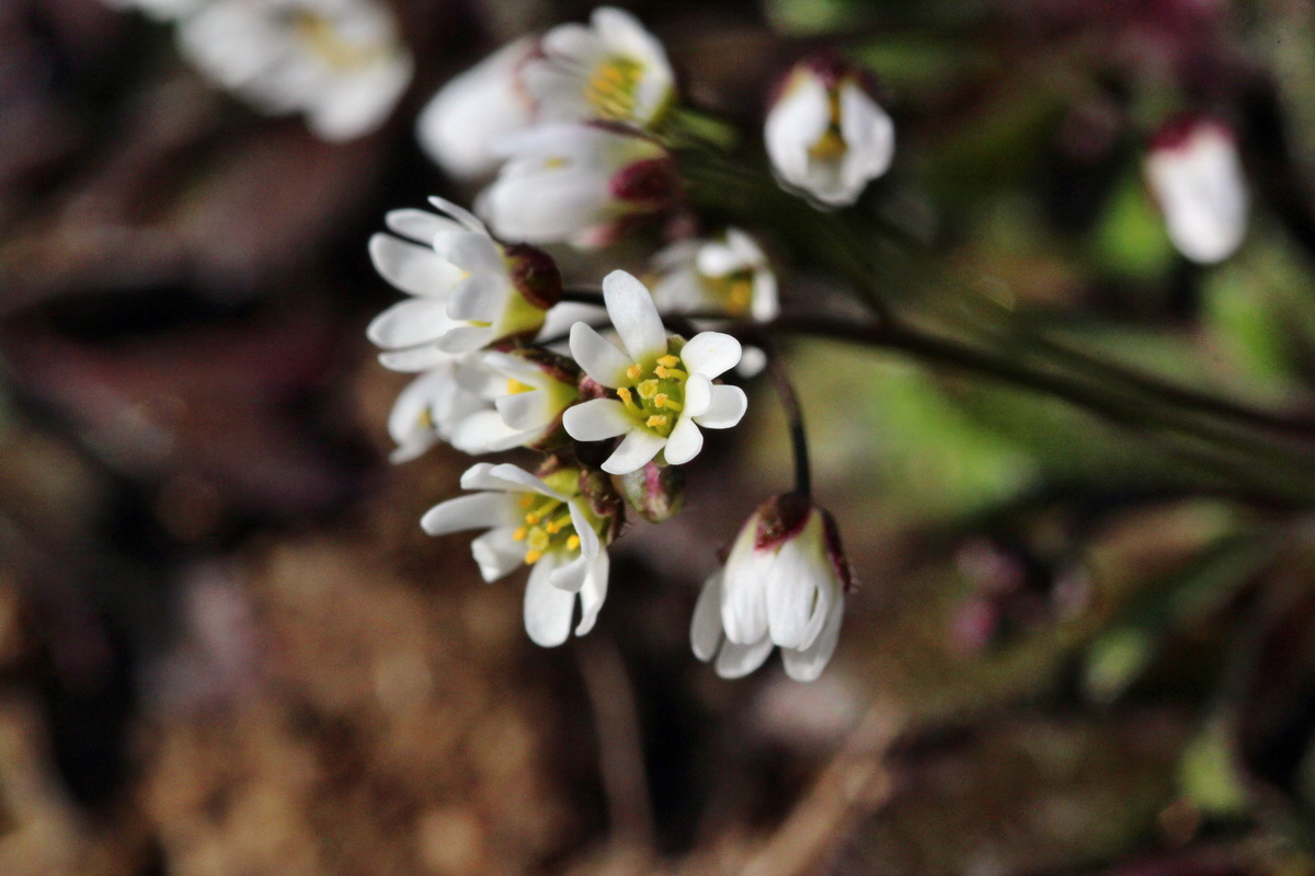 2014_02_22_00035404p_Bildgr��e �ndern