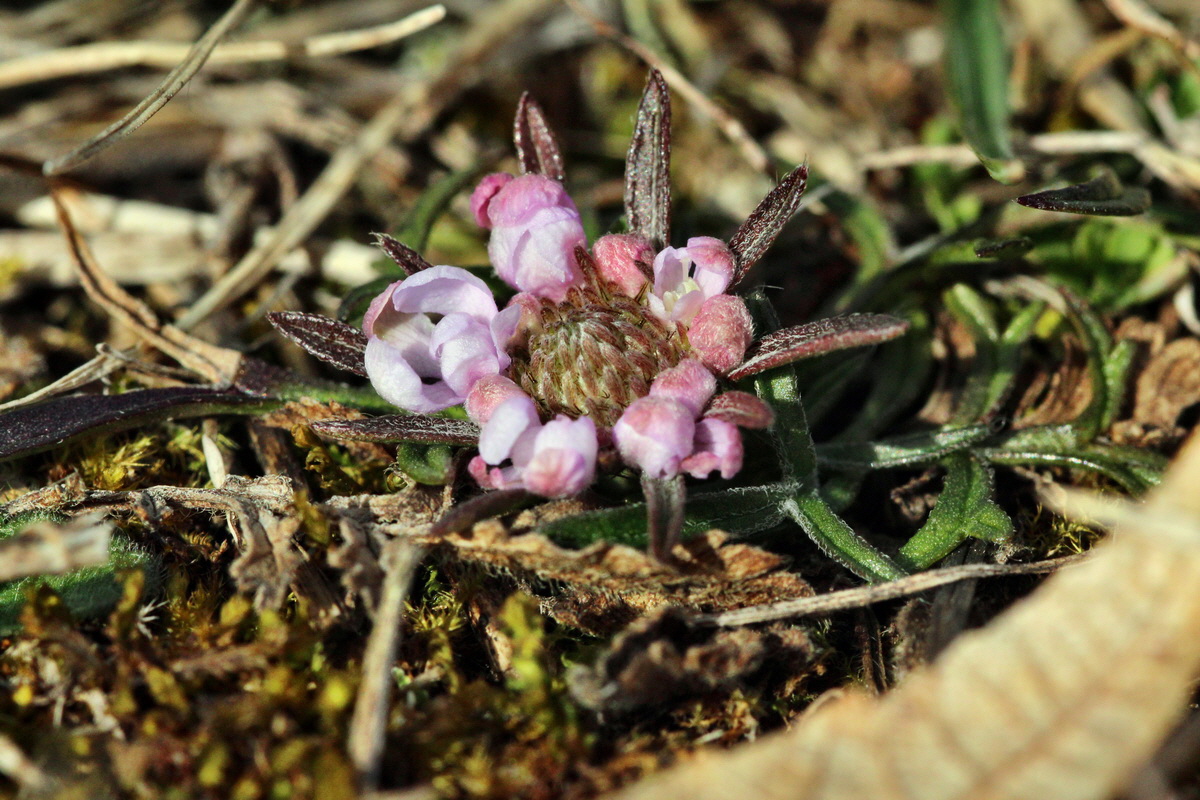 2014_02_22_00035408p_Bildgr��e �ndern