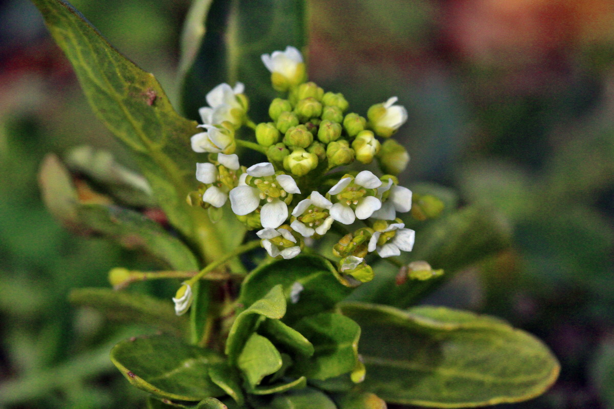 2014_02_22_00035414p_Bildgr��e �ndern