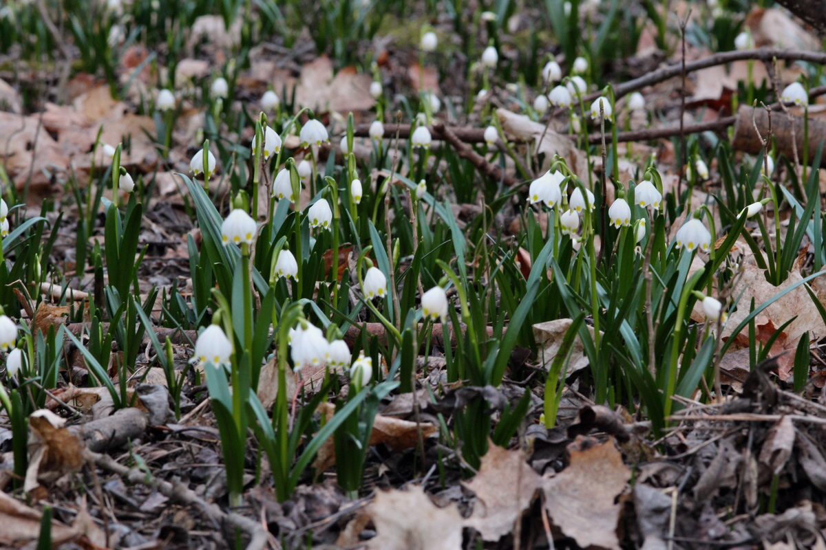 2014_02_24_00035416p_Bildgr��e �ndern