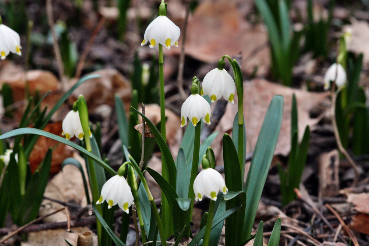 2014_02_24_00035419p_Bildgr��e �ndern