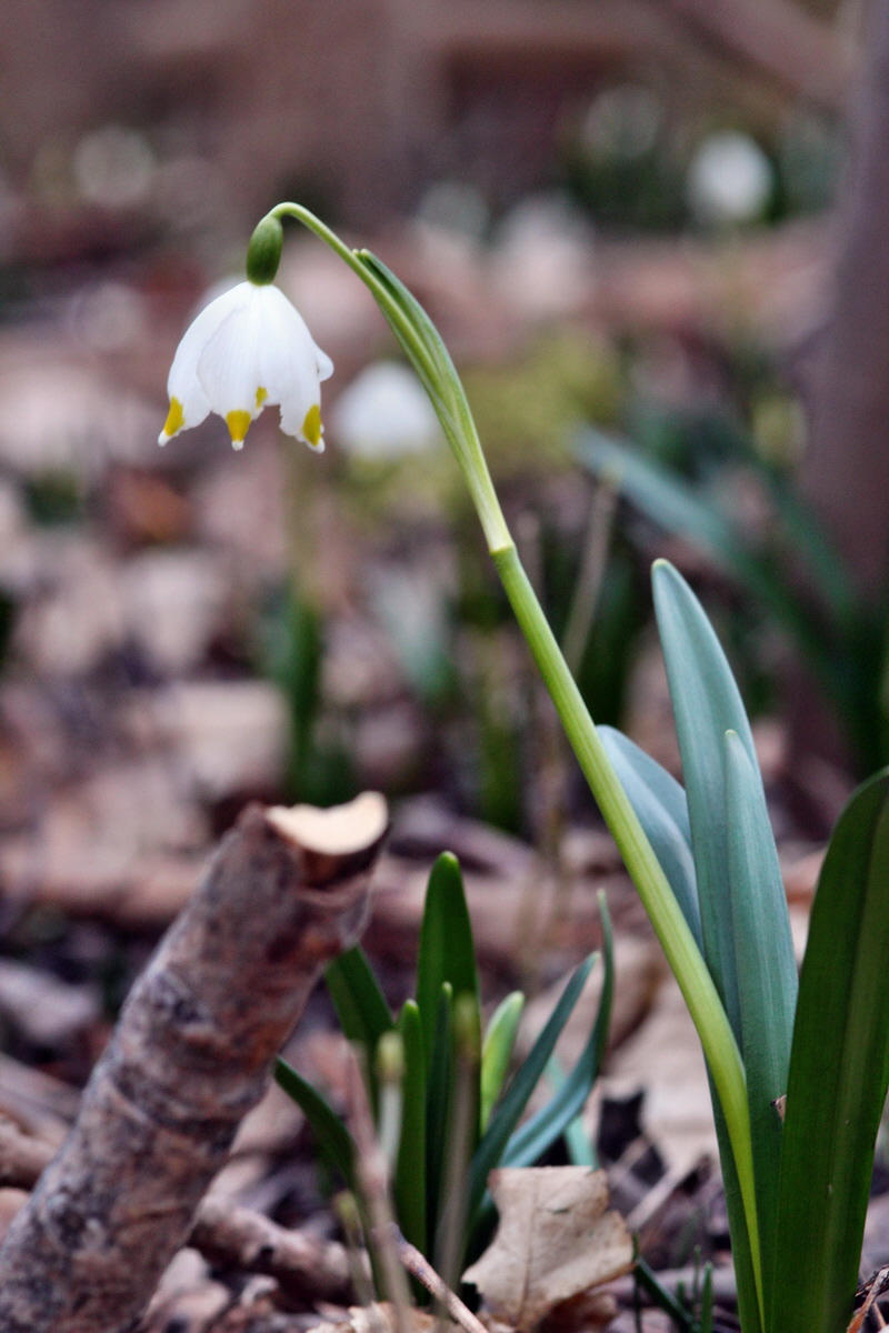 2014_02_24_00035420p_Bildgr��e �ndern