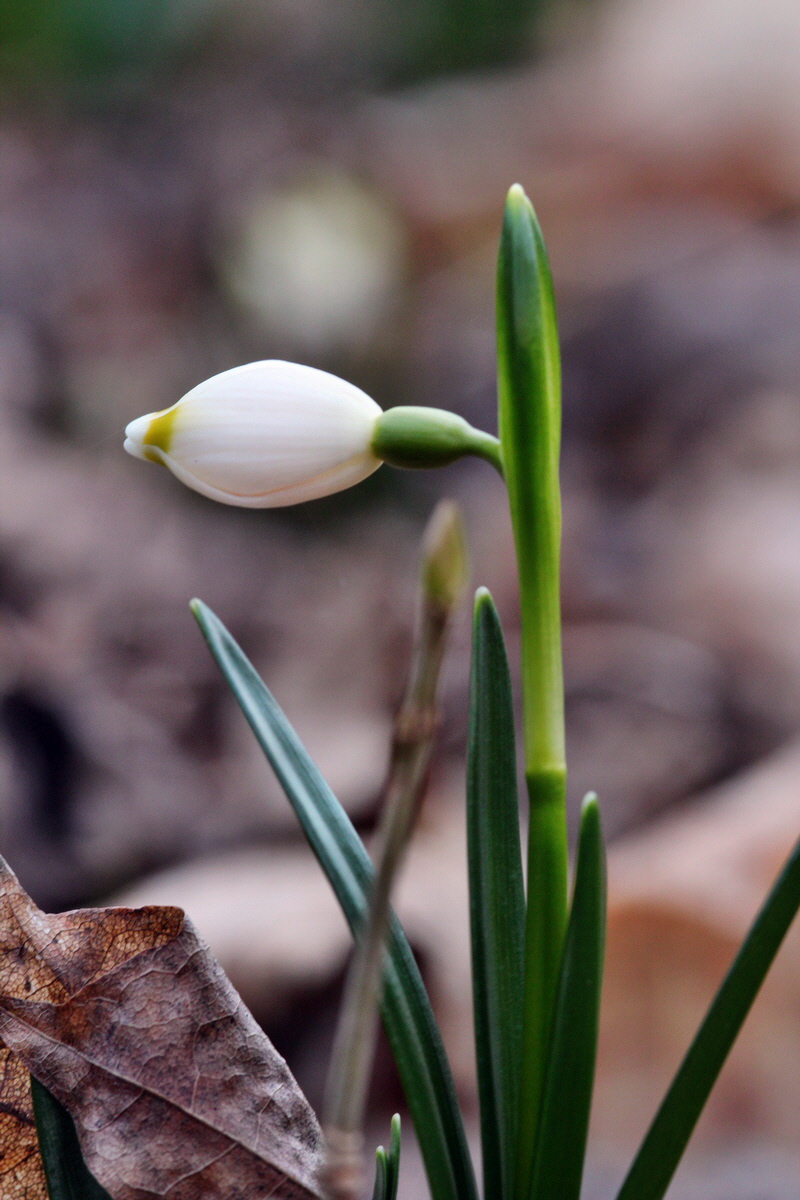 2014_02_24_00035426p_Bildgr��e �ndern