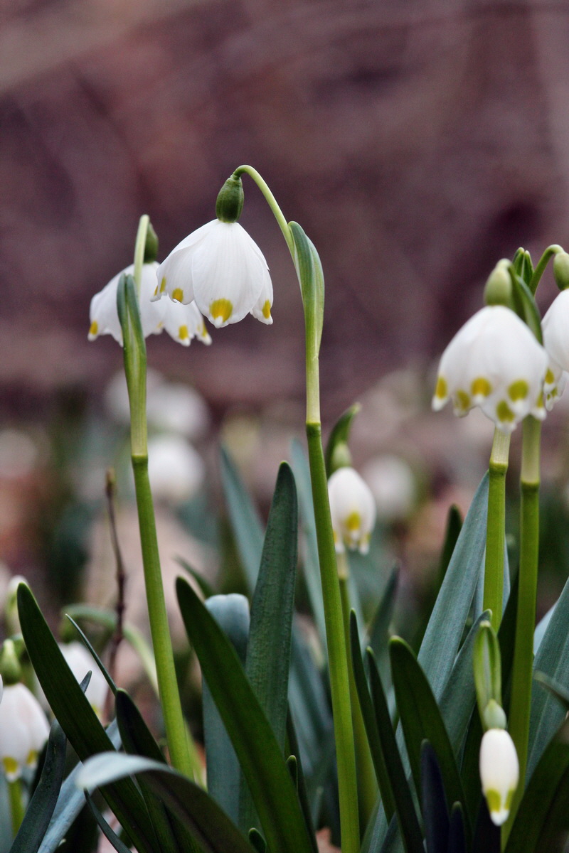 2014_02_24_00035428p_Bildgr��e �ndern