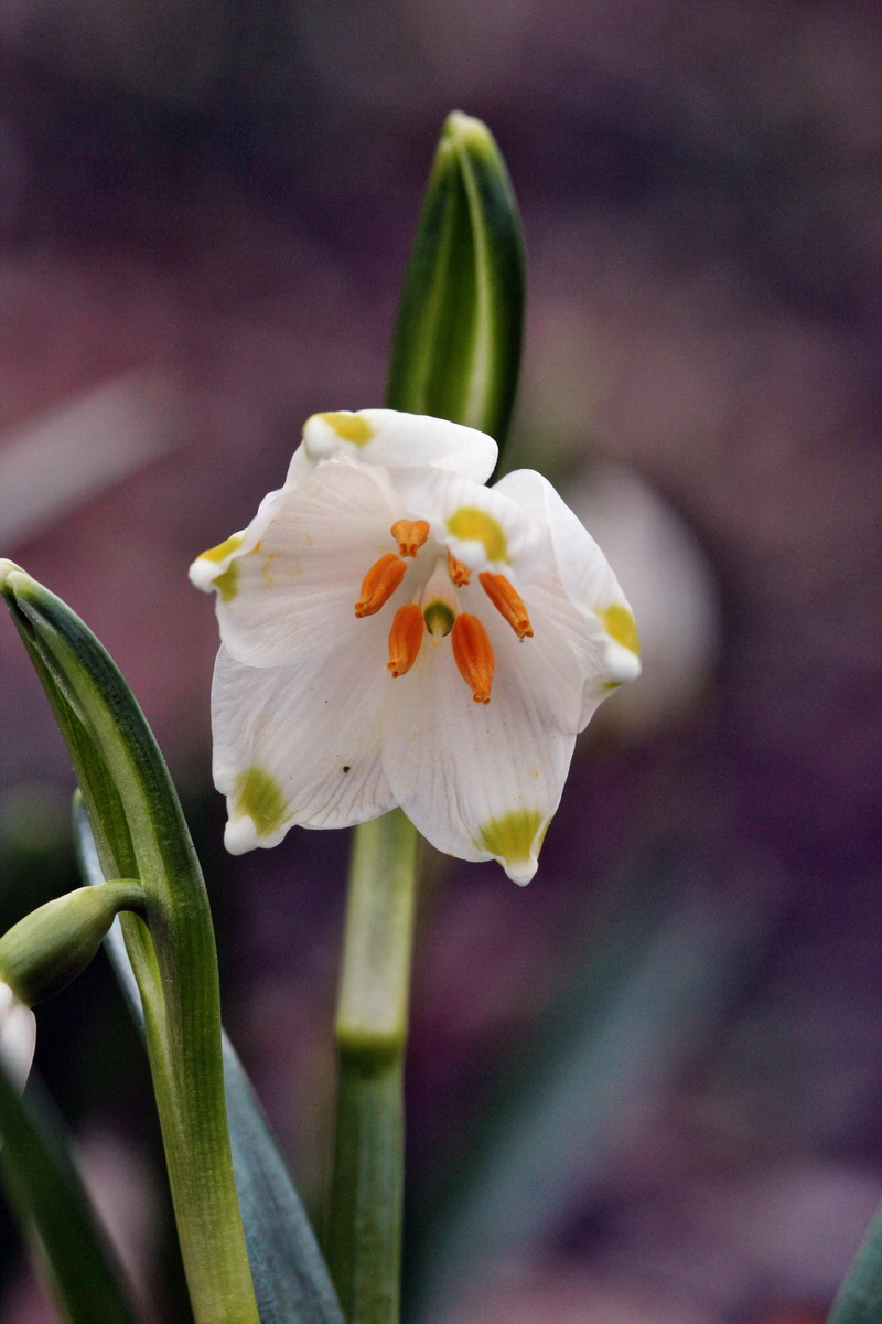 2014_02_24_00035437p_Bildgr��e �ndern