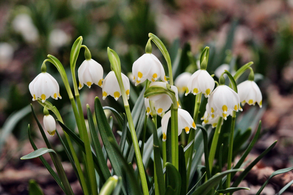 2014_02_24_00035440p_Bildgr��e �ndern