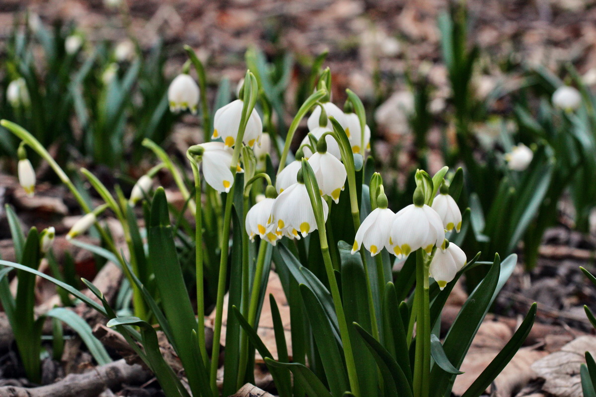 2014_02_24_00035445p_Bildgr��e �ndern