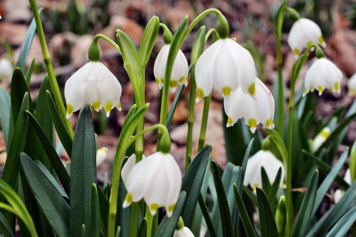 2014_02_24_00035447p_Bildgr��e �ndern