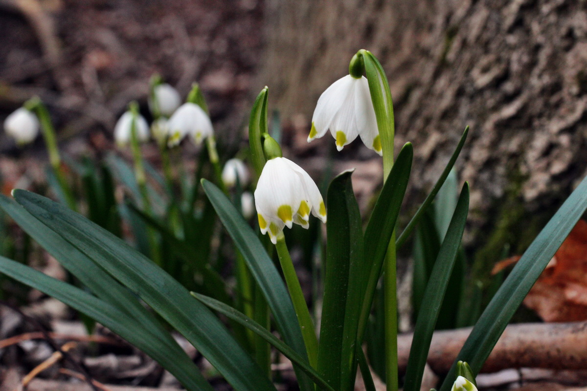 2014_02_24_00035452p_Bildgr��e �ndern