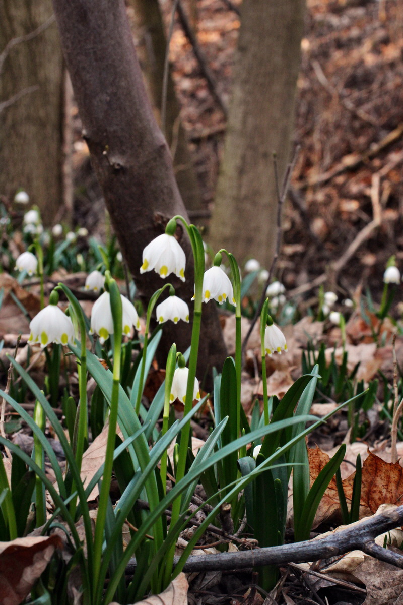 2014_02_24_00035457p_Bildgr��e �ndern