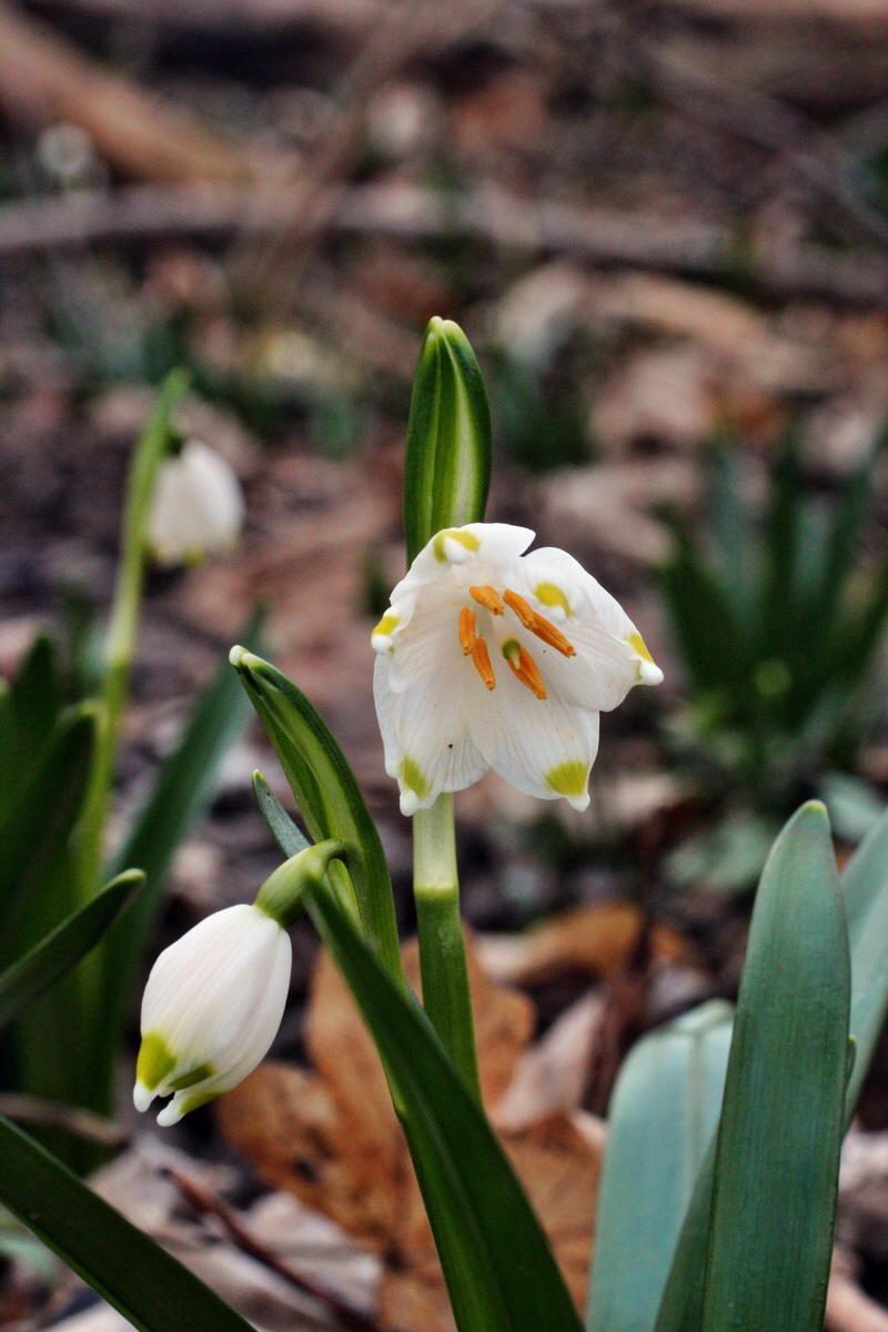 2014_02_24_00035463p_Bildgr��e �ndern