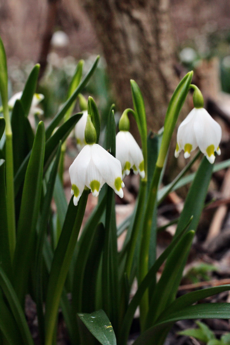 2014_02_24_00035466p_Bildgr��e �ndern