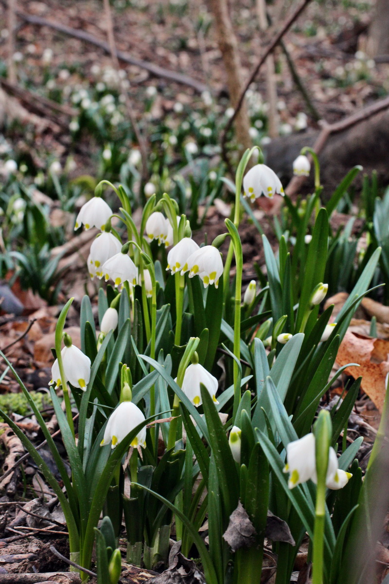 2014_02_24_00035467p_Bildgr��e �ndern