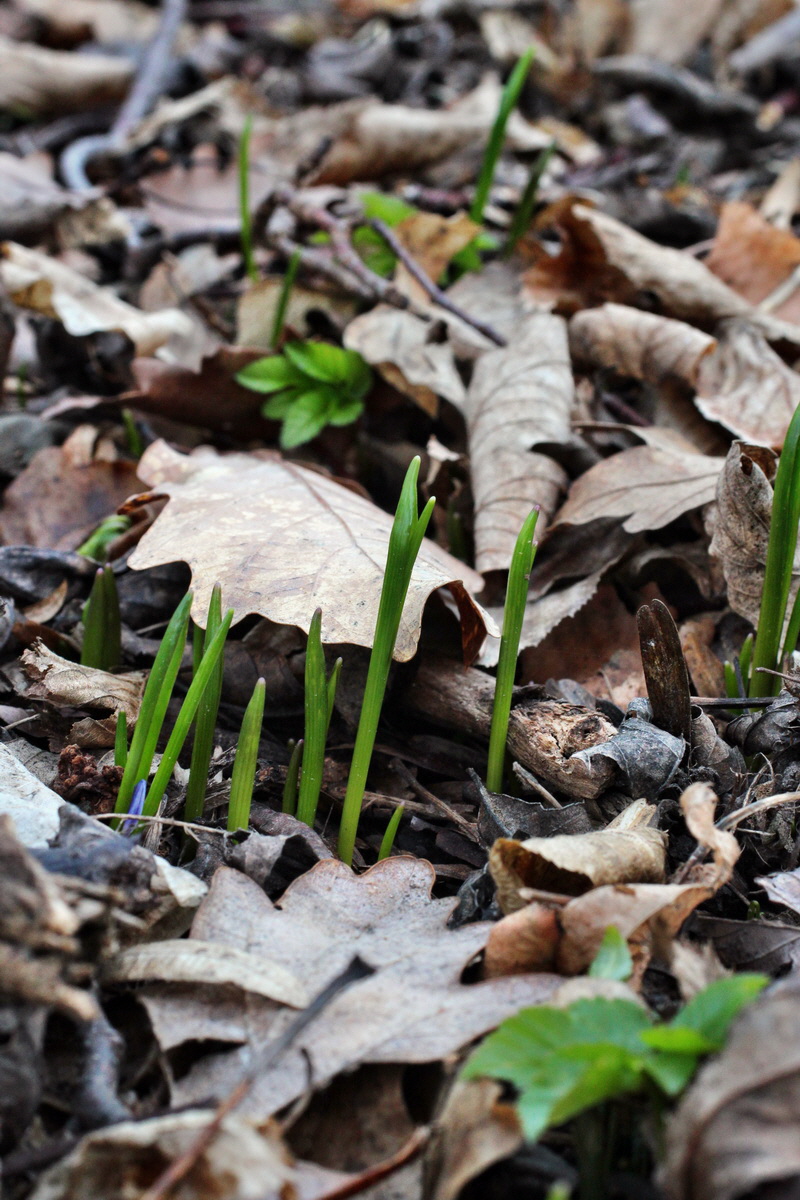 2014_02_24_00035469p_Bildgr��e �ndern