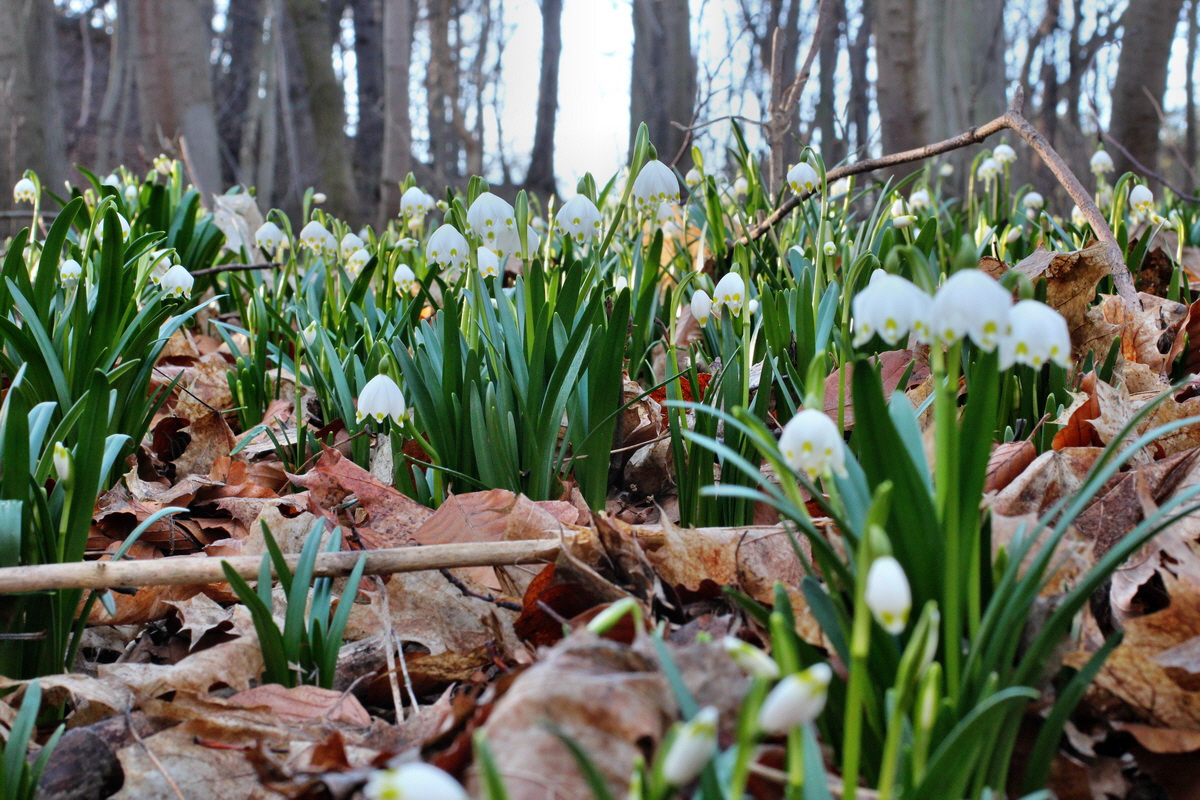 2014_02_24_00035495p_Bildgr��e �ndern