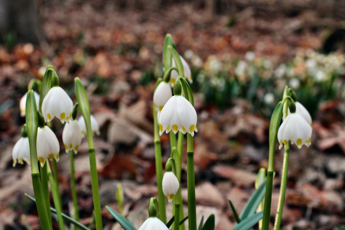 2014_02_24_00035499p_Bildgr��e �ndern