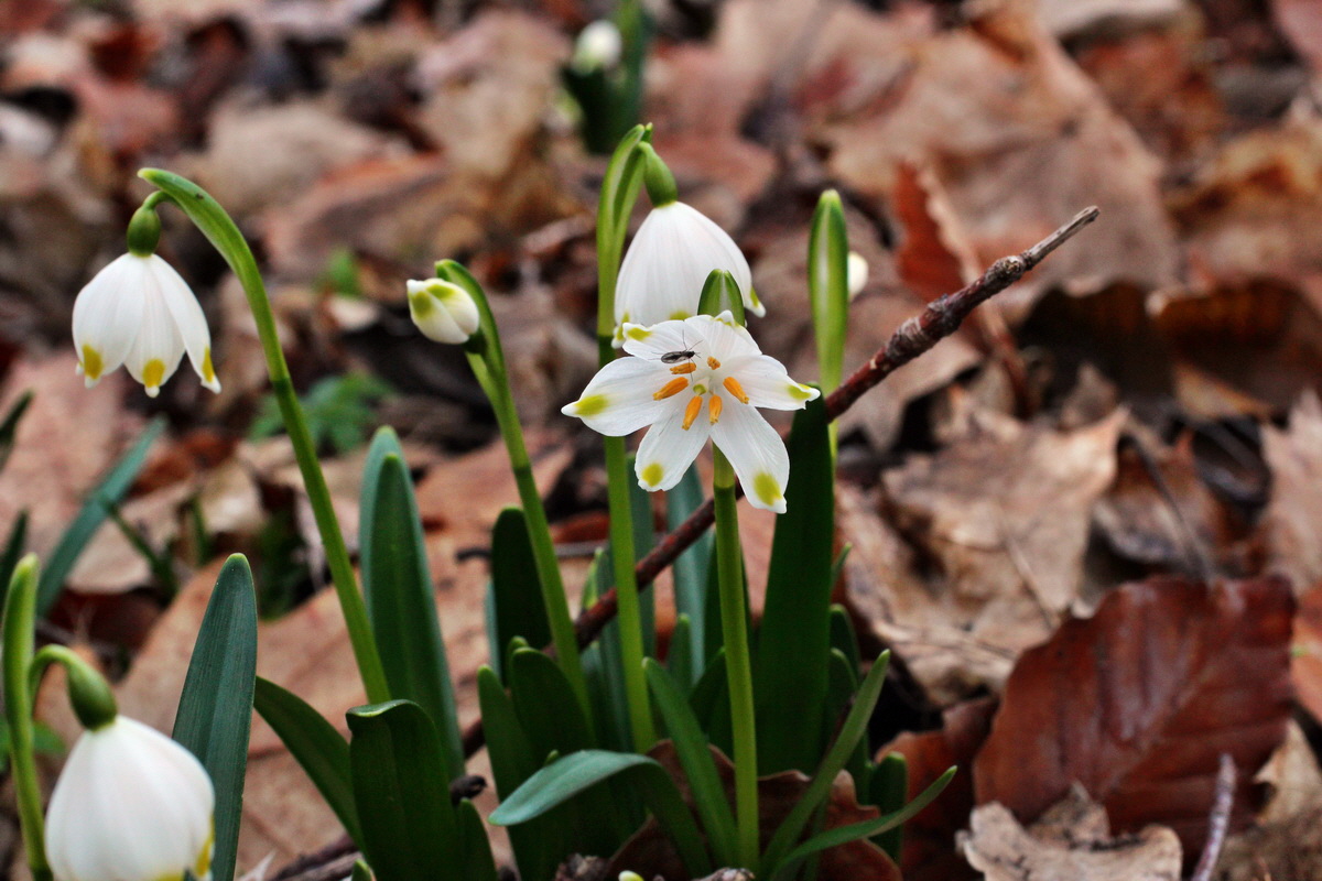 2014_02_24_00035505p_Bildgr��e �ndern