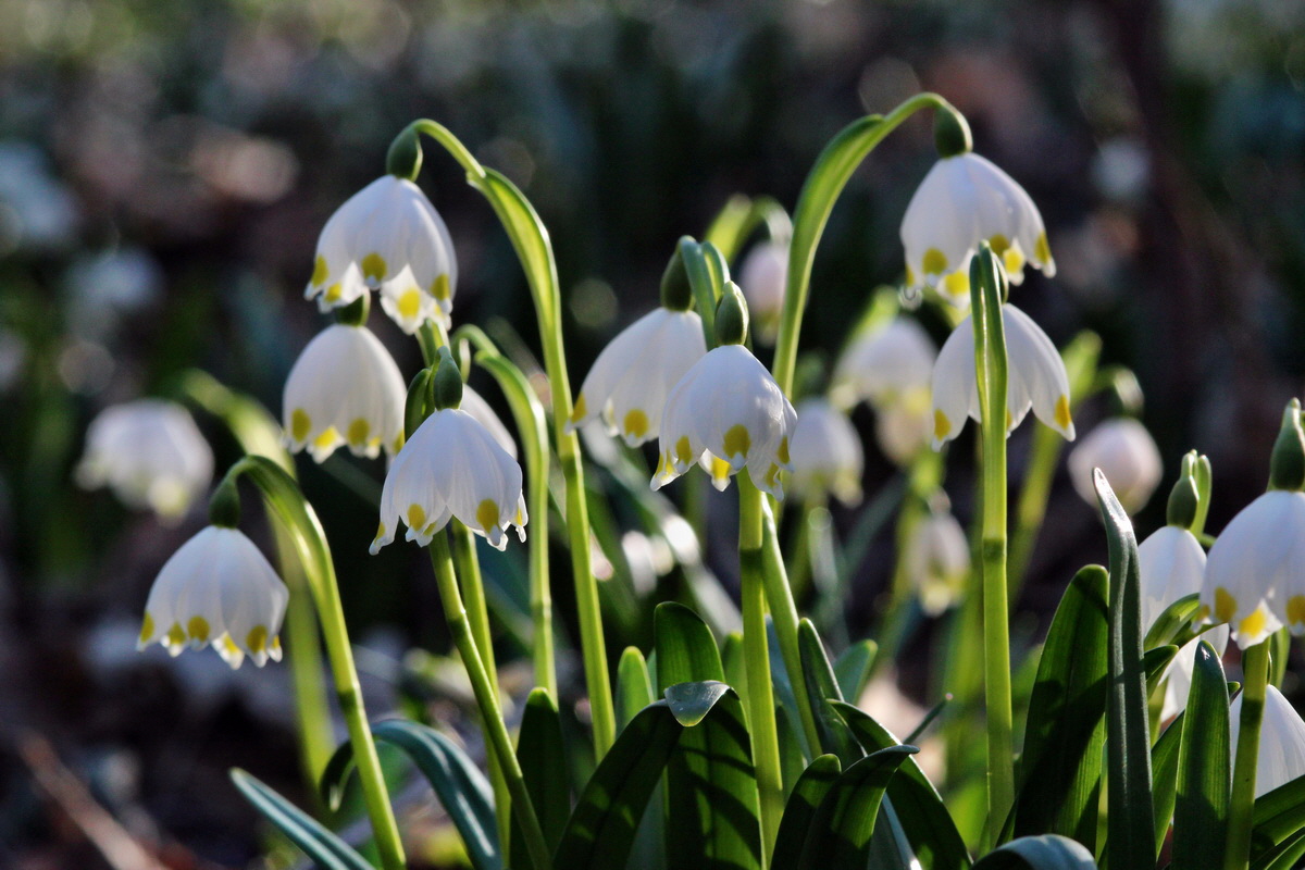 2014_02_24_00035523p_Bildgr��e �ndern