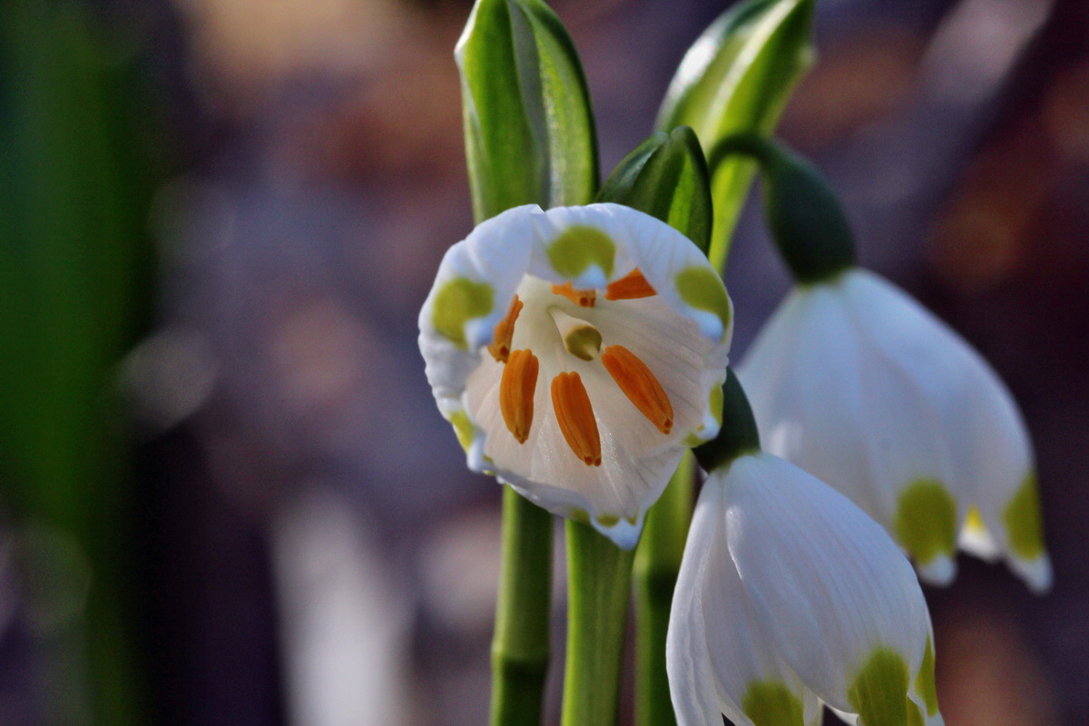 2014_02_24_00035526p_Bildgr��e �ndern