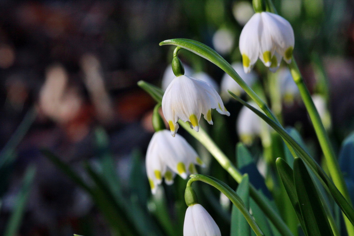 2014_02_24_00035529p_Bildgr��e �ndern