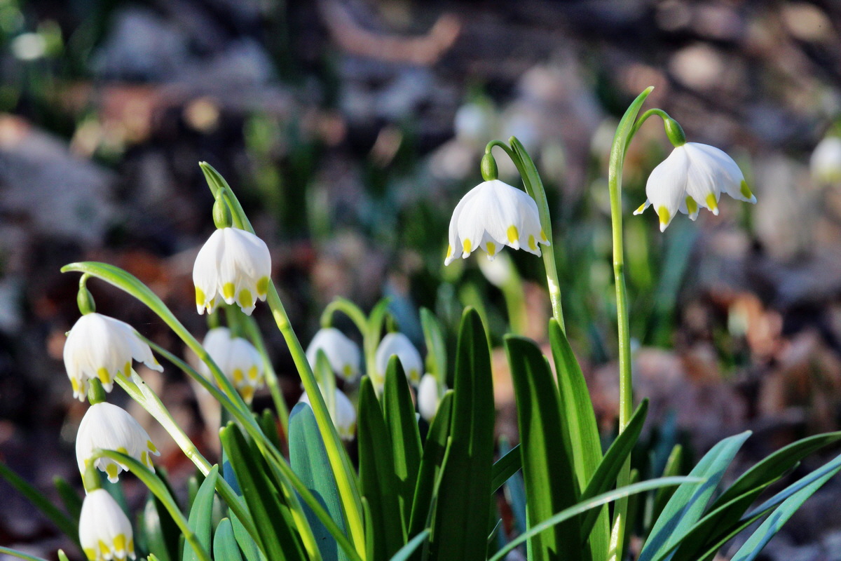 2014_02_24_00035533p_Bildgr��e �ndern