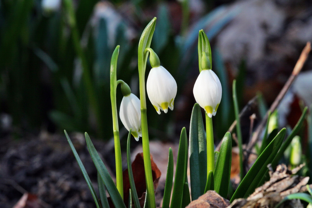 2014_02_24_00035536p_Bildgr��e �ndern