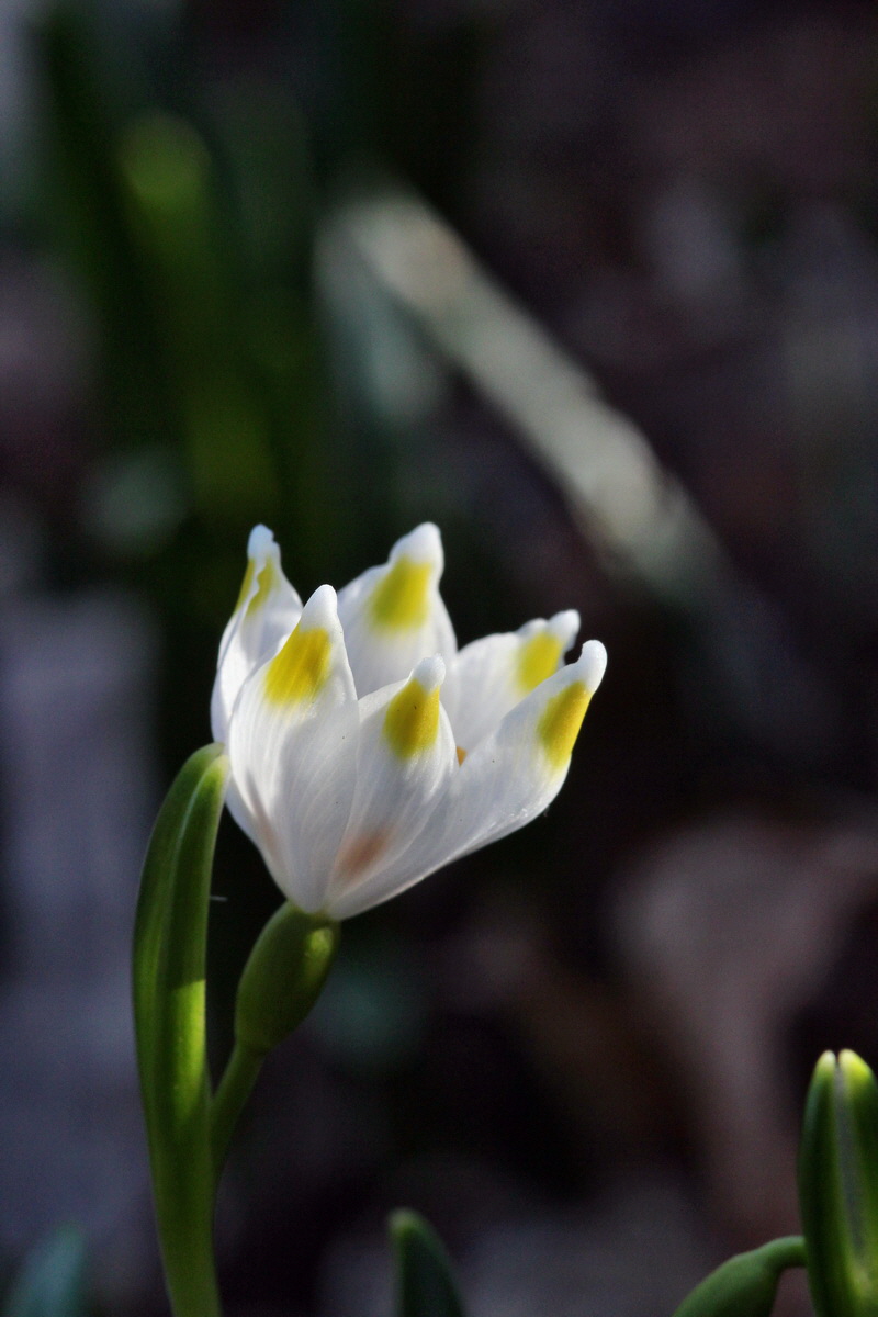 2014_02_24_00035540p_Bildgr��e �ndern