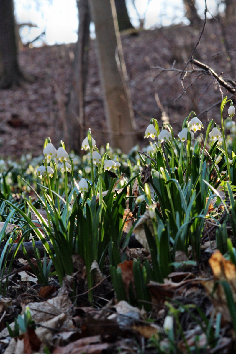 2014_02_24_00035548p_Bildgr��e �ndern