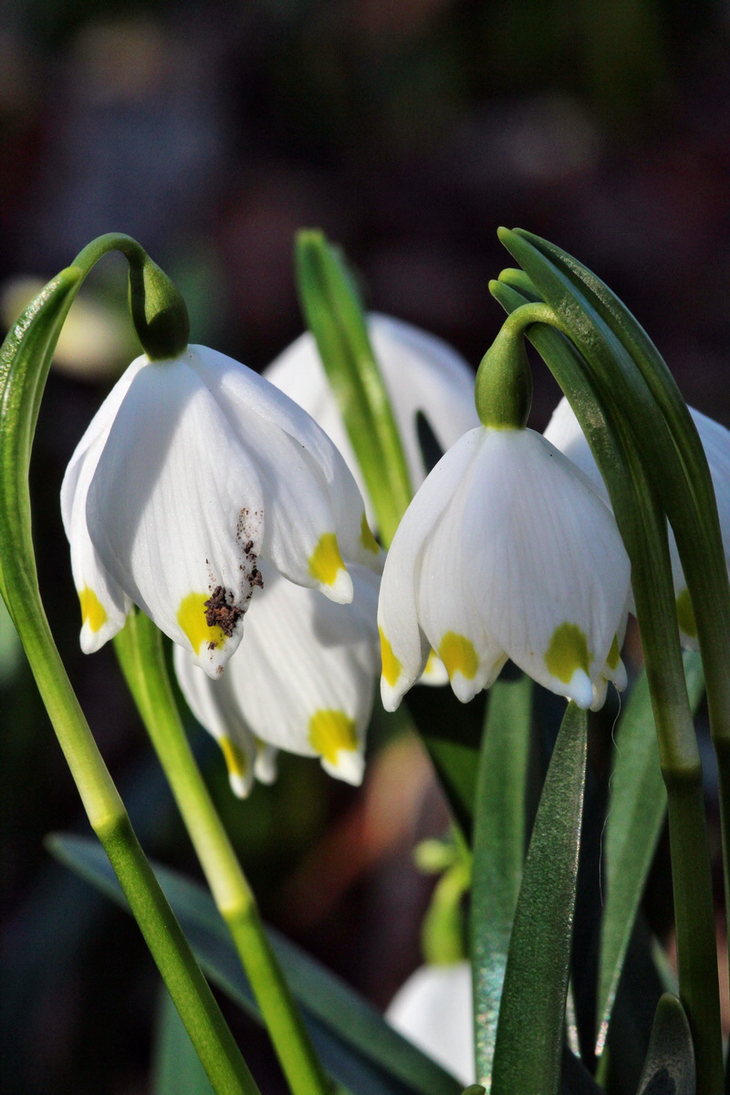 2014_02_24_00035555p_Bildgr��e �ndern