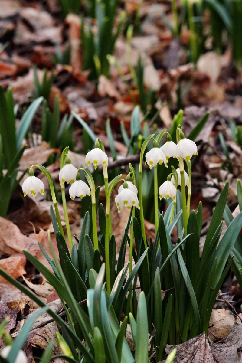 2014_02_24_00035557p_Bildgr��e �ndern