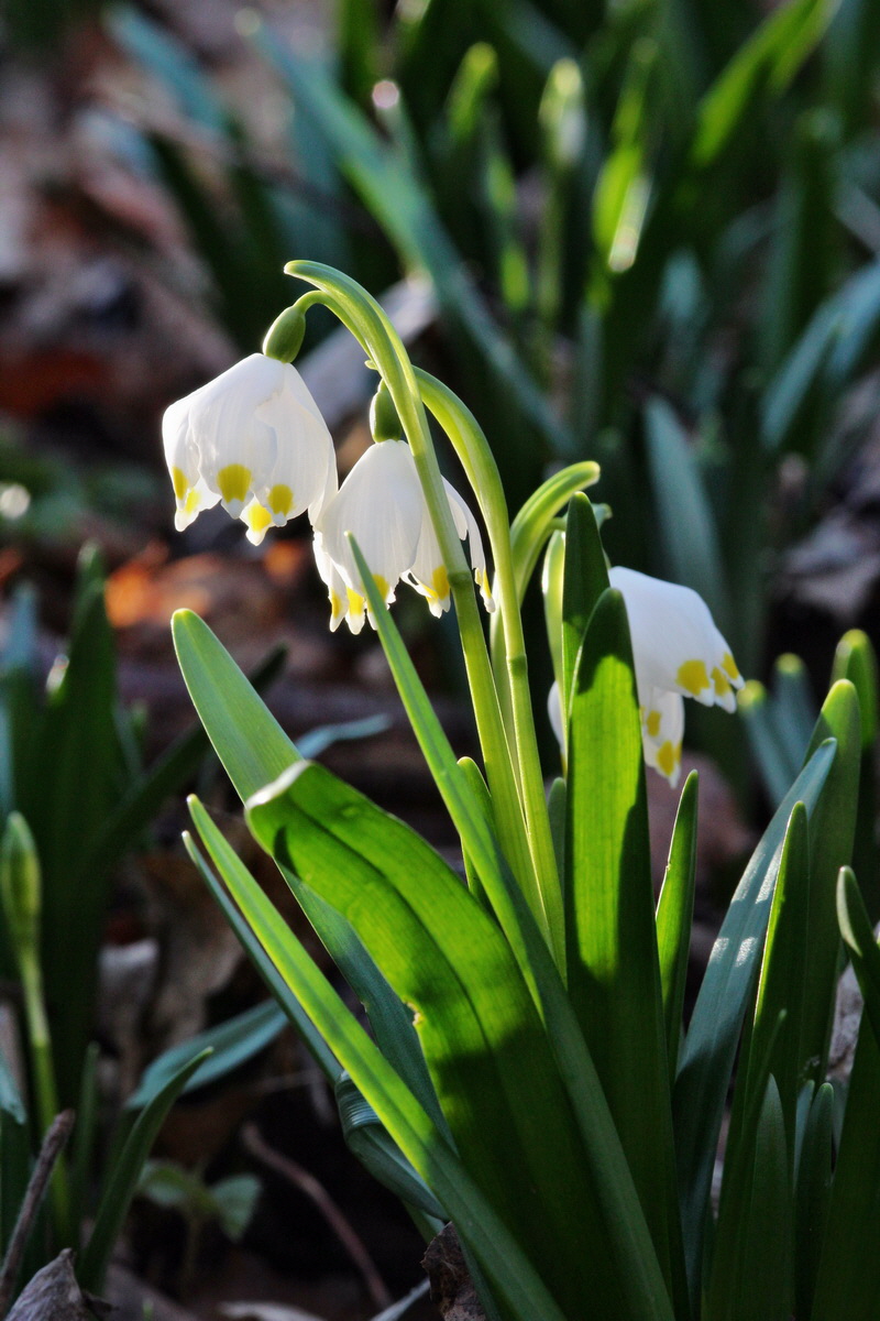 2014_02_24_00035559p_Bildgr��e �ndern