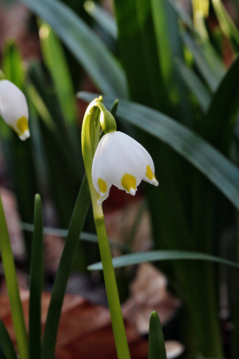 2014_02_24_00035561p_Bildgr��e �ndern