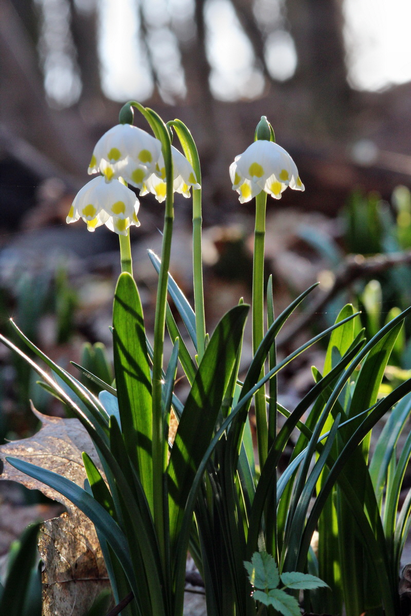 2014_02_24_00035563p_Bildgr��e �ndern