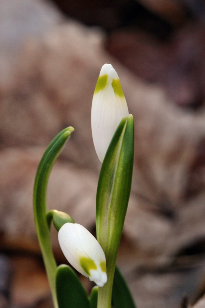 2014_02_24_00035570p_Bildgr��e �ndern