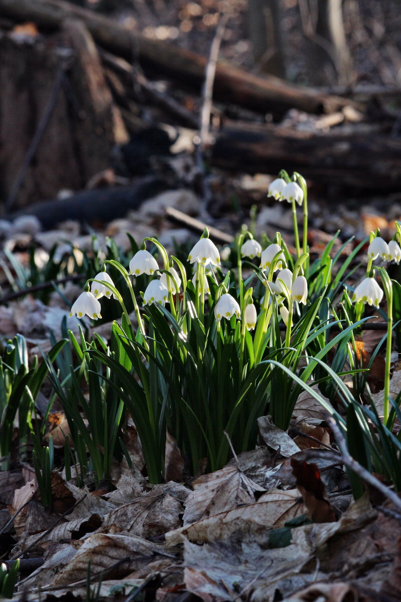 2014_02_24_00035572p_Bildgr��e �ndern