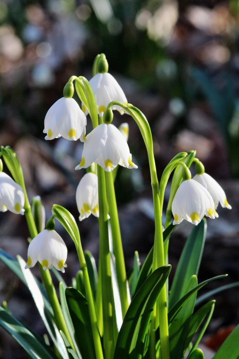 2014_02_24_00035578p_Bildgr��e �ndern