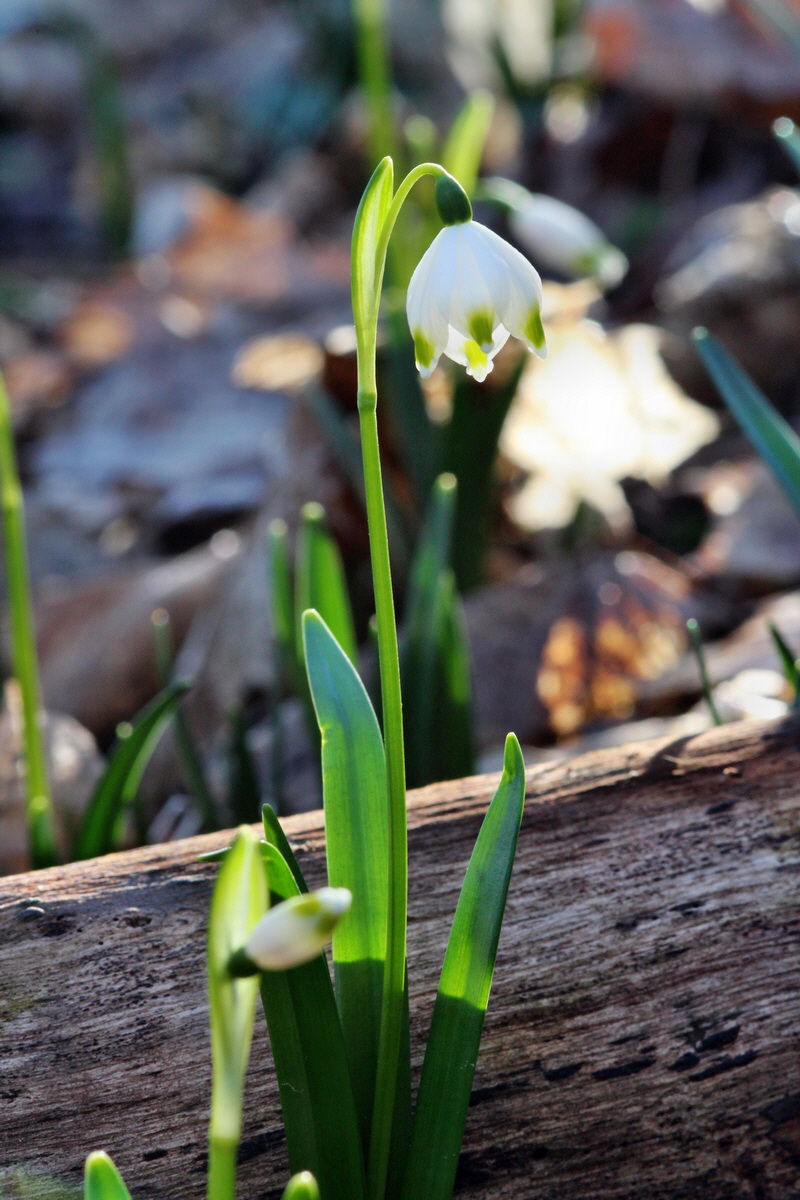 2014_02_24_00035583p_Bildgr��e �ndern