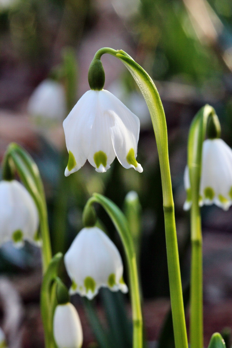 2014_02_24_00035588p_Bildgr��e �ndern