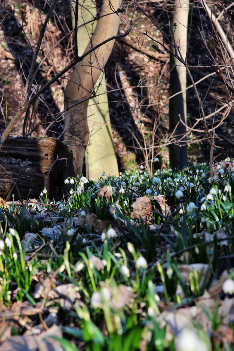 2014_02_24_00035590p_Bildgr��e �ndern