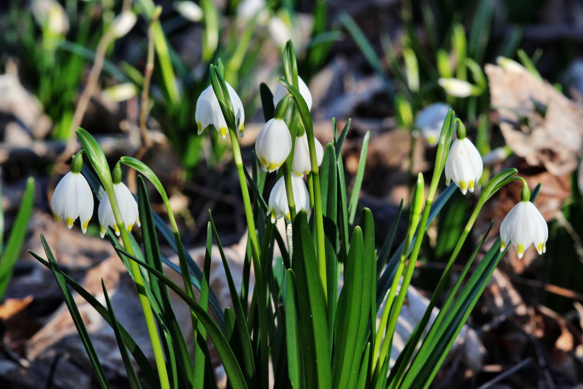 2014_02_24_00035591p_Bildgr��e �ndern