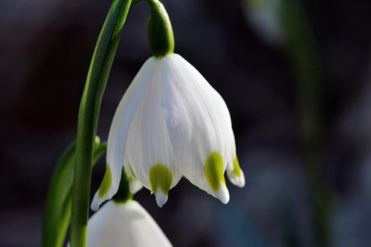 2014_02_24_00035595p_Bildgr��e �ndern