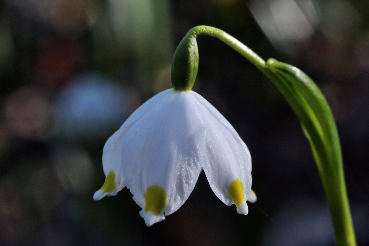 2014_02_24_00035597p_Bildgr��e �ndern