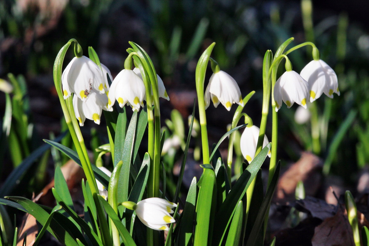 2014_02_24_00035603p_Bildgr��e �ndern