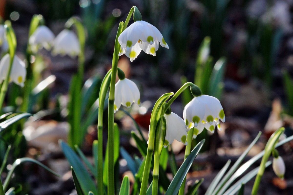 2014_02_24_00035628p_Bildgr��e �ndern