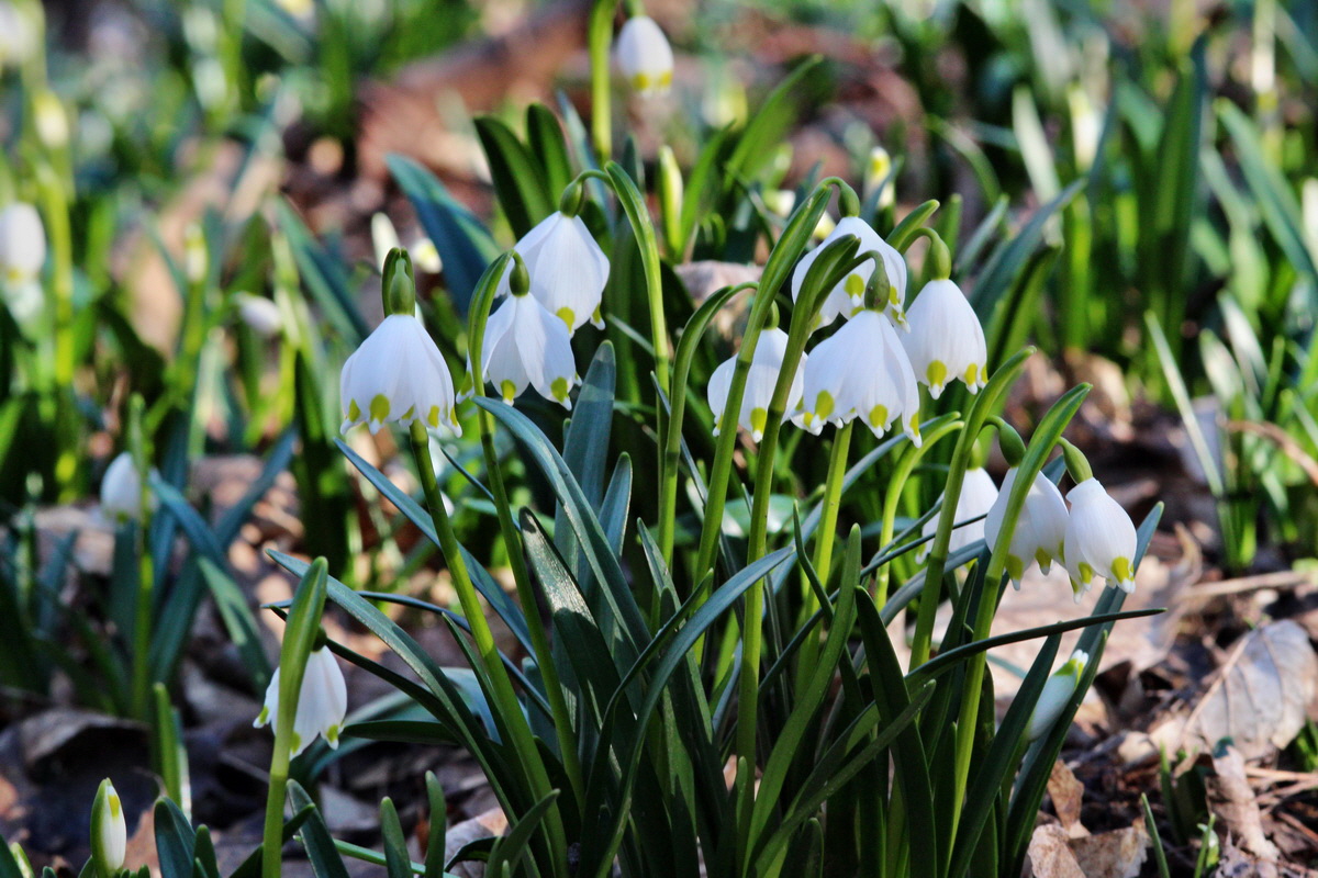 2014_02_24_00035631p_Bildgr��e �ndern