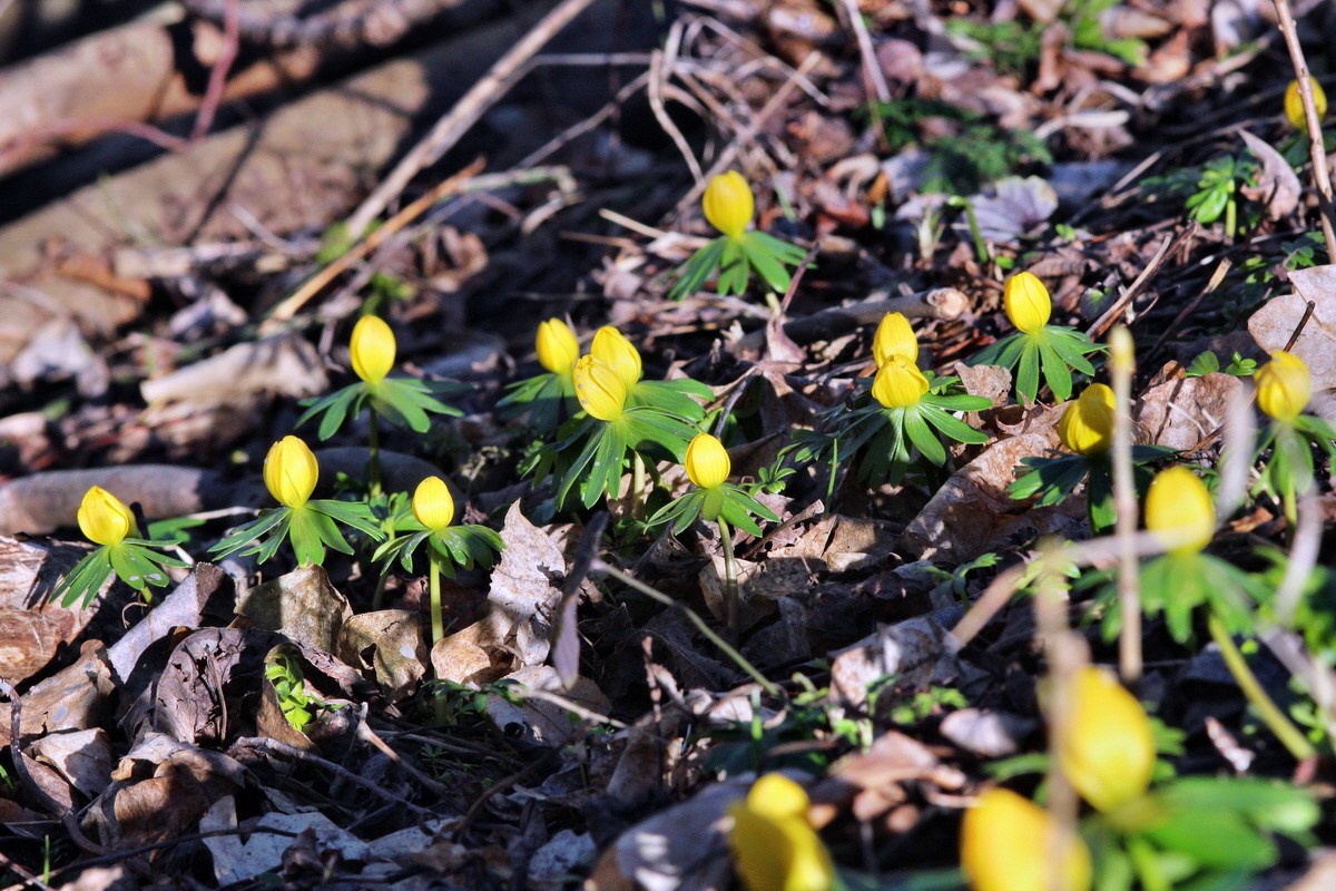 2014_02_24_00035633p_Bildgr��e �ndern