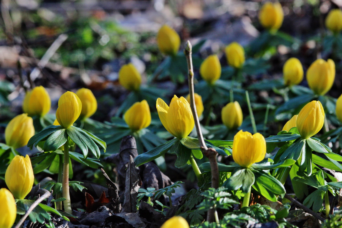 2014_02_24_00035635p_Bildgr��e �ndern