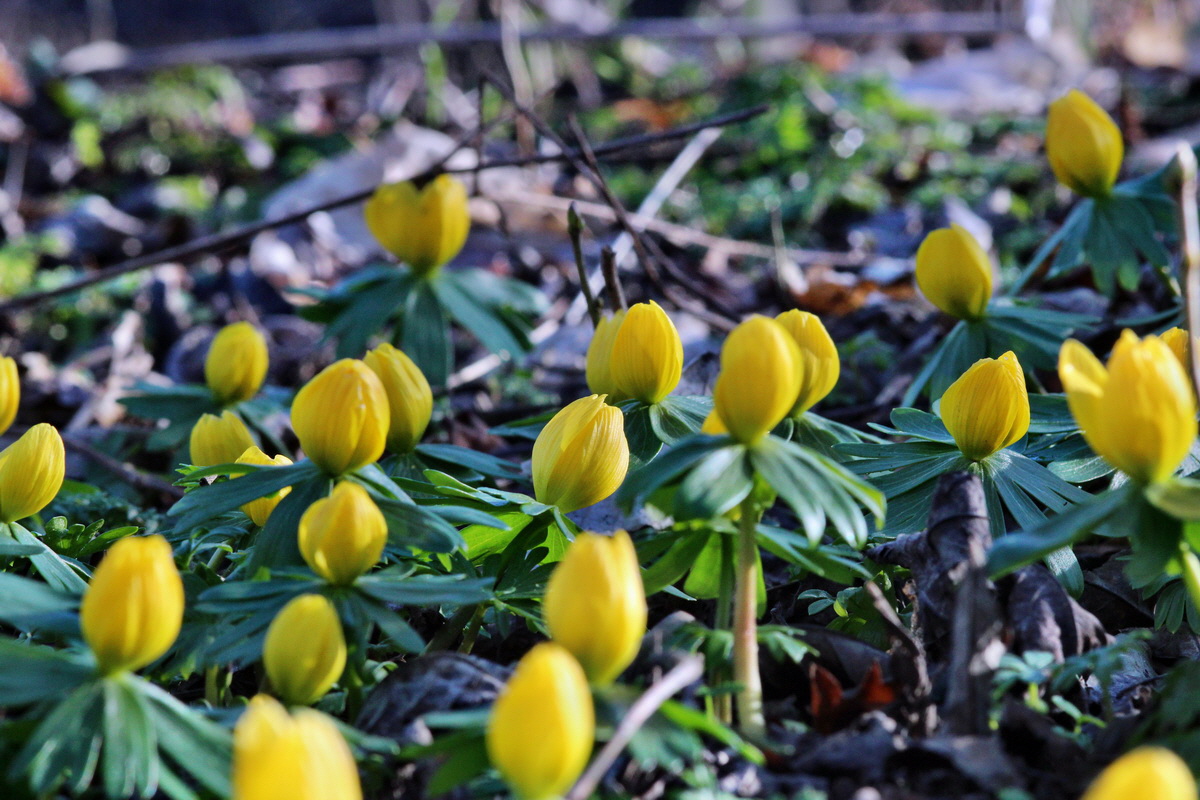 2014_02_24_00035641p_Bildgr��e �ndern