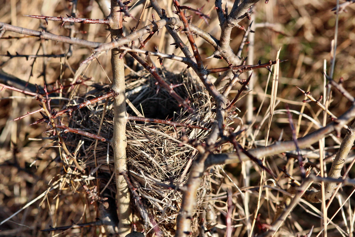 2014_02_25_00035643p_Bildgr��e �ndern